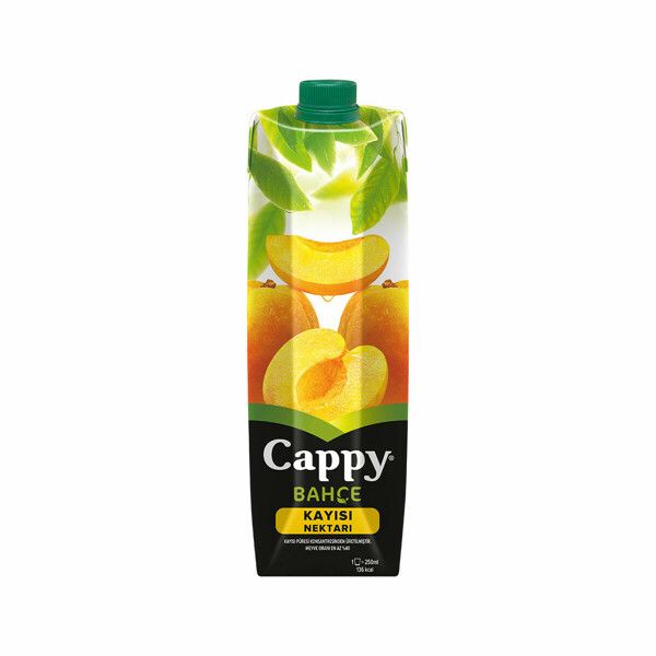 CAPPY KAYISI TETRA 1 L