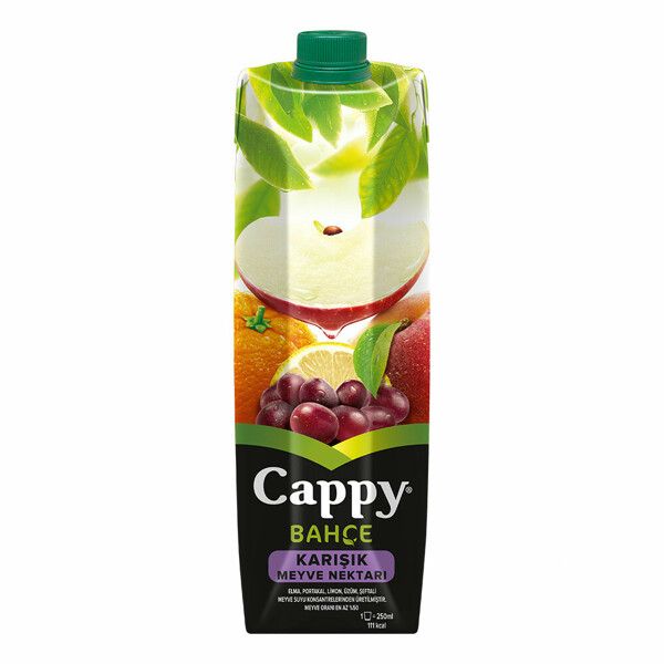 CAPPY KARISIK TETRA 1 L