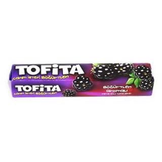 TOFITA BOGURTLEN 47 GR