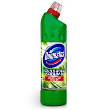 DOMESTOS DAG ESINTISI 750 ML