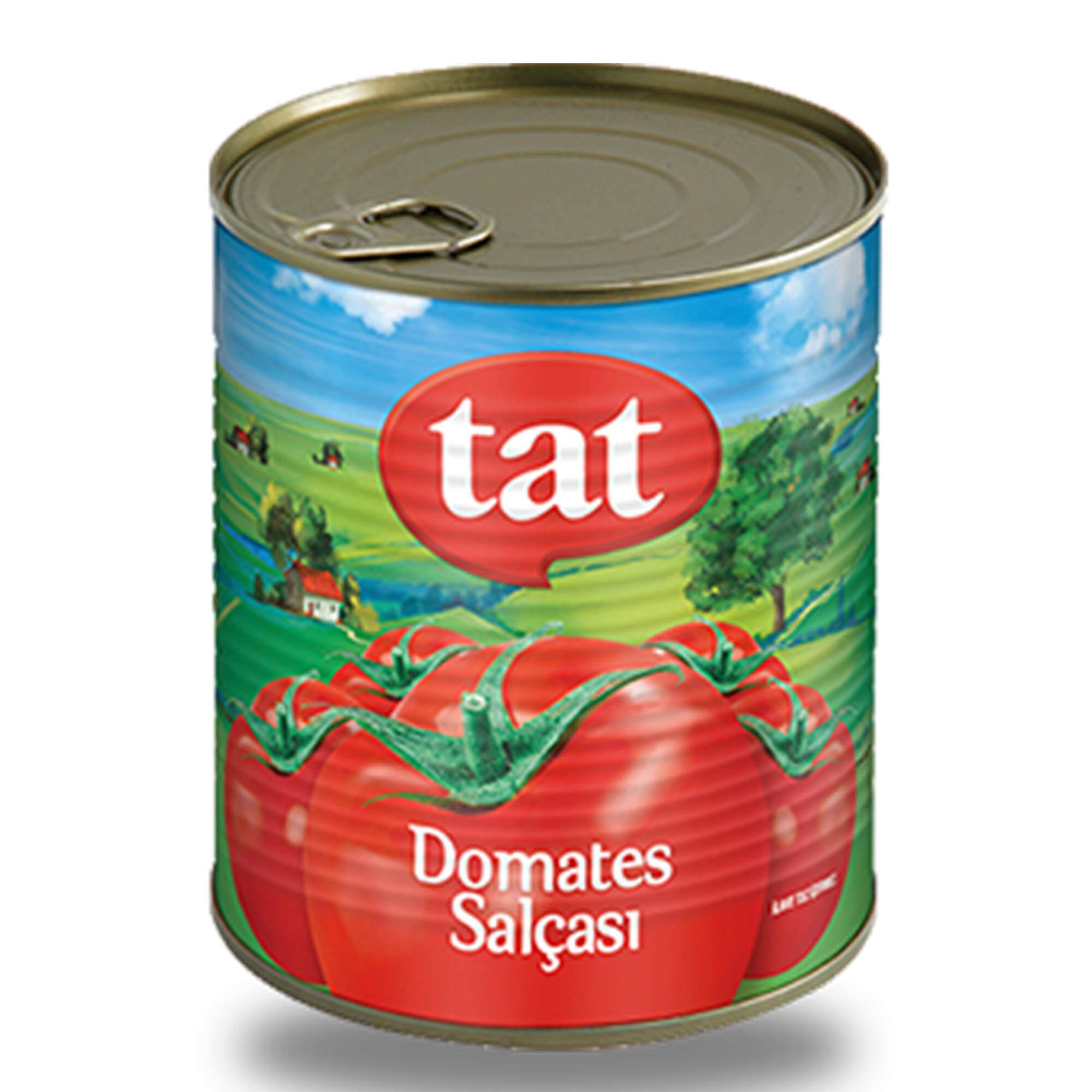 TAT DOMATES SALCASI 830 GR